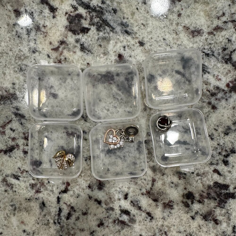 Pandora Charms